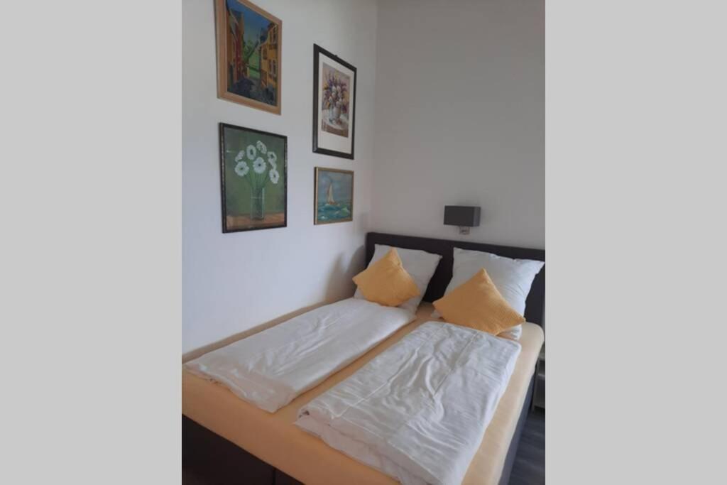 Riva - Appartement Modern - Naehe Montabaur Ruppach-Goldhausen Kültér fotó